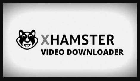 xhamstervideodownloader apk for apple|Everything You Need to Know About Xhamstervideodownloader。